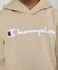 Resim Champion Hooded Sweatshirt