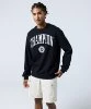 Resim Champion Crewneck Sweatshirt