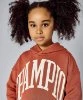 Resim Champion Hooded Sweatshirt