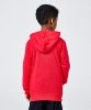 Resim Champion Hooded Sweatshirt