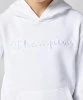 Resim Champion Hooded Sweatshirt