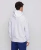 Resim Champion Hooded Sweatshirt