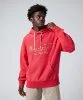 Resim Champion Hooded Sweatshirt