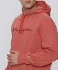 Resim Champion Hooded Sweatshirt