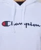 Resim Champion Hooded Sweatshirt