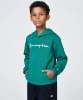 Resim Champion Hooded Sweatshirt