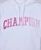 Resim Champion Hooded Sweatshirt