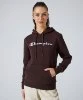 Resim Champion Hooded Sweatshirt