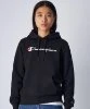 Resim Champion Hooded Sweatshirt