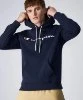 Resim Champion Hooded Sweatshirt