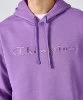 Resim Champion Hooded Sweatshirt