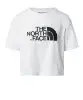 Resim The North Face W Cropped Easy Tee