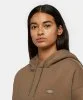 Resim Dickies Oakport Cropped Hoodie