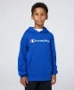 Resim Champion Hooded Sweatshirt