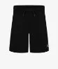 Resim Jordan Brooklyn Fleece Essential Shorts