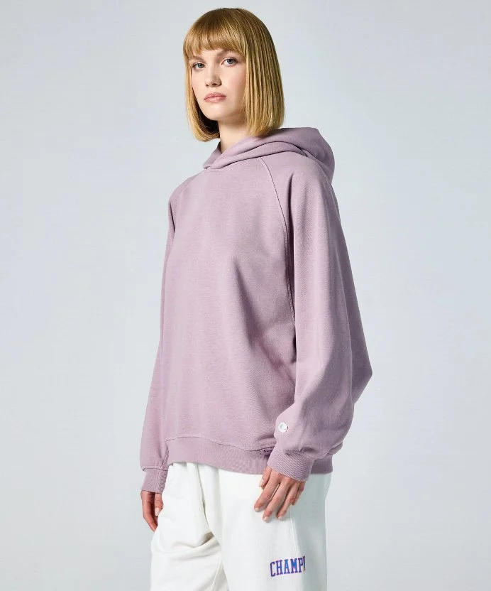 Resim Champion Hooded Sweatshirt