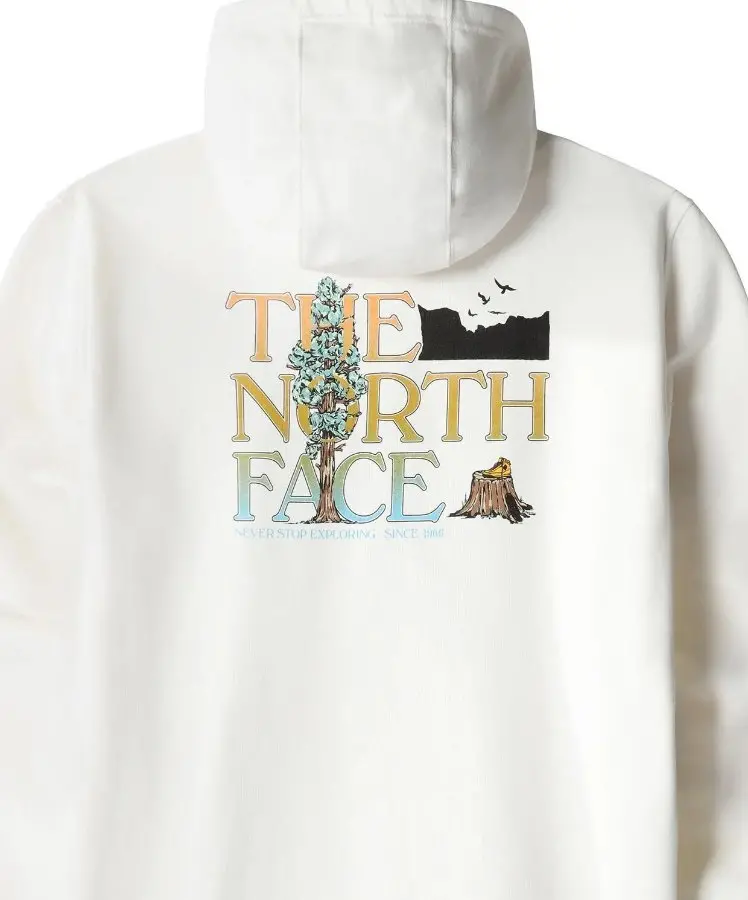 Resim The North Face M Seasonal Graphic Hoodie