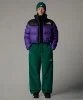 Resim The North Face W Nuptse Short Jacket