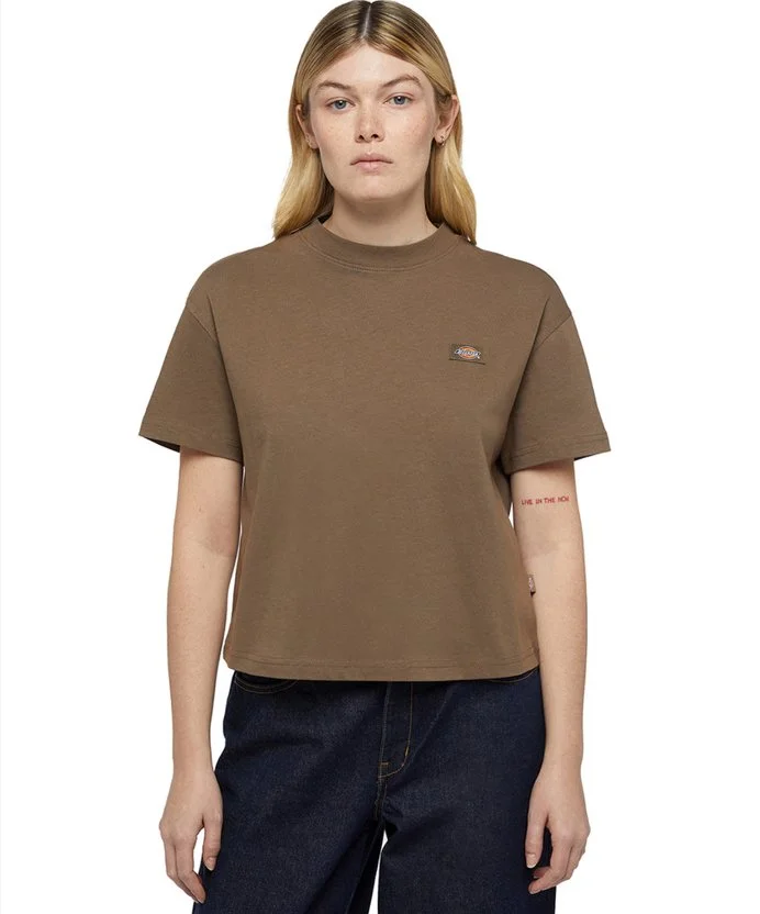 Resim Dickies Oakport Boxy Ss Tee