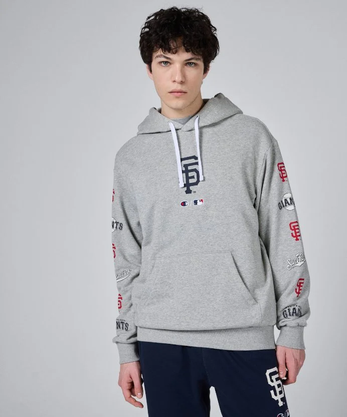 Resim Champion Hooded Sweatshirt