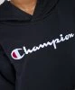 Resim Champion Hooded Sweatshirt