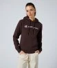 Resim Champion Hooded Sweatshirt