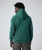 Resim Champion Hooded Sweatshirt