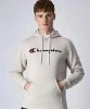 Resim Champion Hooded Sweatshirt