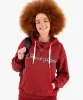 Resim Champion Hooded Half Zip Sweatshirt