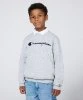 Resim Champion Crewneck Sweatshirt