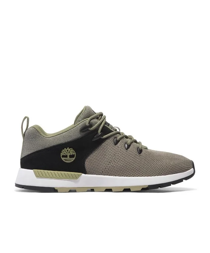 Resim Timberland Low Lace Up Sneaker