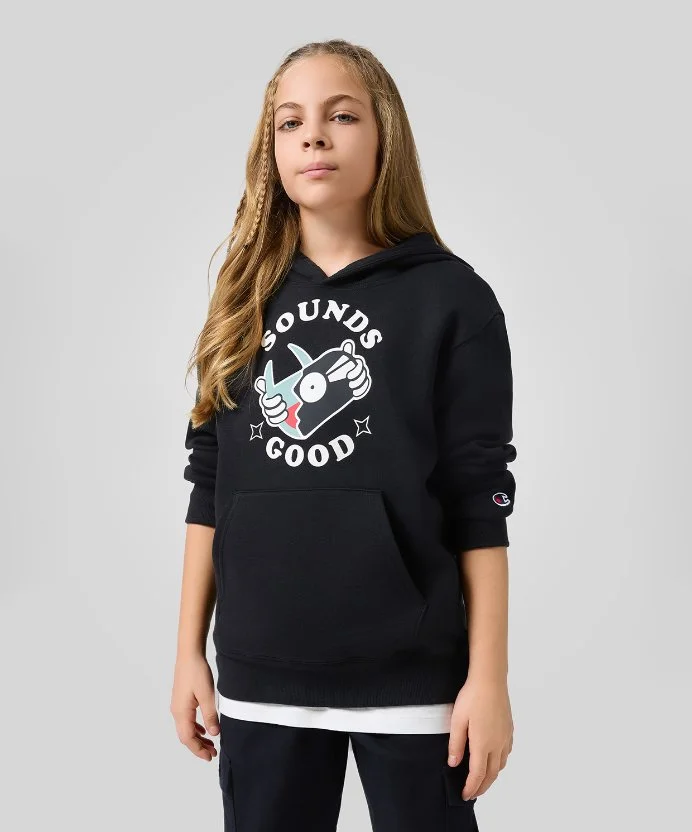 Resim Champion Hooded Sweatshirt