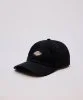 Resim Dickies 6 Panel Logo Cap