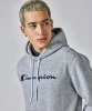 Resim Champion Hooded Sweatshirt