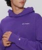 Resim Champion Eco Future Hooded Sweatshirt