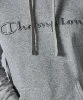 Resim Champion Hooded Sweatshirt