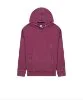 Resim Champion Hooded Sweatshirt