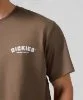 Resim Dickies Builder Tee Ss