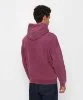 Resim Champion Hooded Sweatshirt