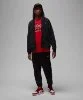 Resim Jordan Essentials Zipper Hoodie