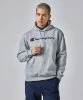 Resim Champion Hooded Sweatshirt