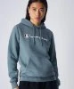 Resim Champion Hooded Sweatshirt