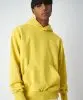 Resim Champion Eco Future Hooded Sweatshirt