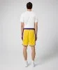 Resim Nike Lal M Df Swgmn Short icn 18