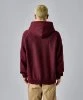 Resim Champion Hooded Sweatshirt