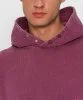 Resim Champion Hooded Sweatshirt