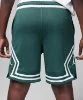 Resim Jordan Sport Dri-Fit Diamond Shorts