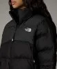 Resim The North Face W Cropped Saikuru