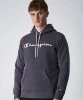 Resim Champion Hooded Sweatshirt