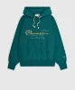 Resim Champion Hooded Sweatshirt